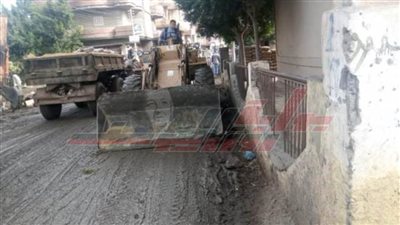 استمرار أعمال النظافة والتجميل بمحافظة كفرالشيخ 