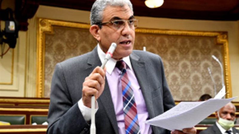 عادل عبدالفضيل رئيس