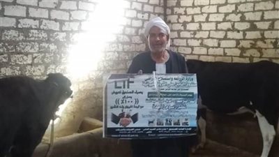 التأمين على ٥٨٨٢ رأس ماشية وتنظيم ٦٢ ندوة إرشادية بالبحيرة