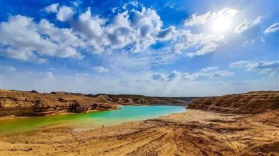 محمية مصرية تحتوي علي 64 نوعًا من النباتات النادرة