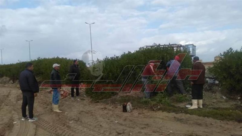 أعمال النظافة