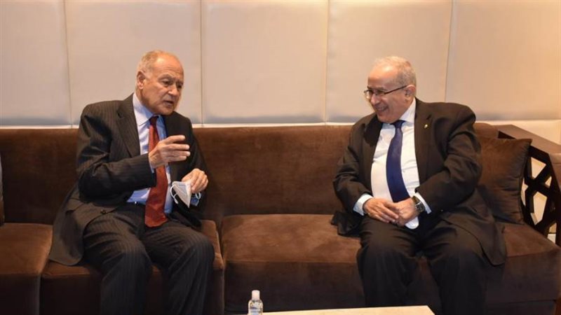 ابوالغيط مع وزير