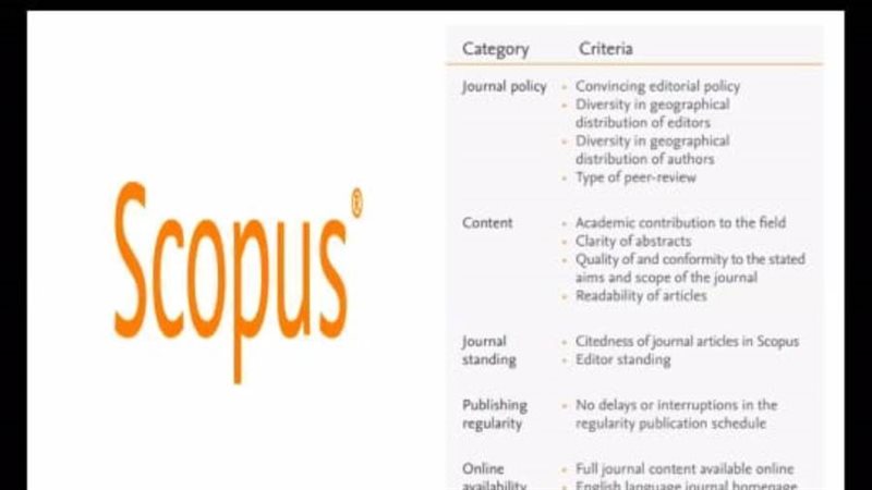 جانب من ورشة العمل