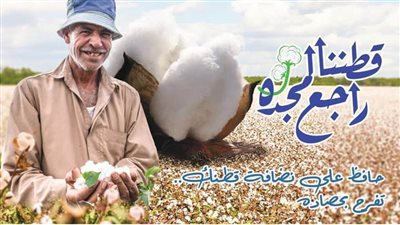 7 معلومات توضح ماذا أضافت المنظومة الجديدة لتداول الأقطان؟