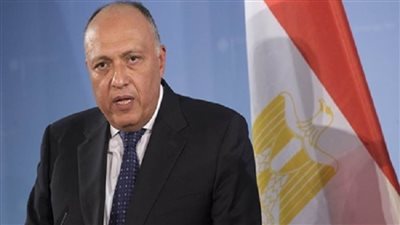 شكري يشارك في جلسة افتراضية حول تغير المُناخ في إطار أسبوع أبوظبي للاستدامة