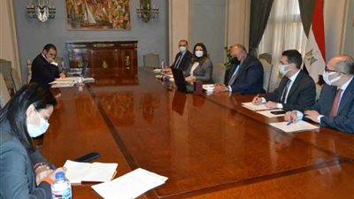 شكري يؤكد أهمية التضامن الإفريقي لدعم صمود القارة أمام كافة الأزمات التي تواجهها