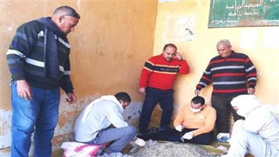 تنفيذ حملة صيانة وتحزيم محصول القمح قبل طرد السنابل بزراعة البحيرة