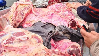 حملات رقابية تحرر 18 محضرًا والتحفظ على 26 طن مضبوطات 