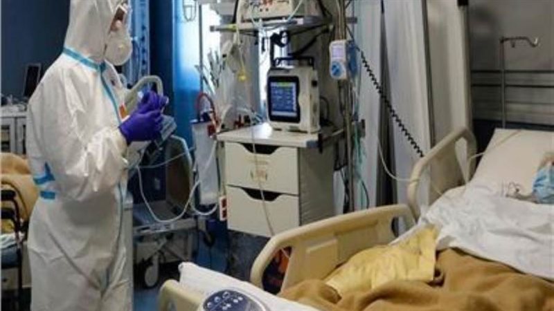 أعداد الإصابات والوفيات