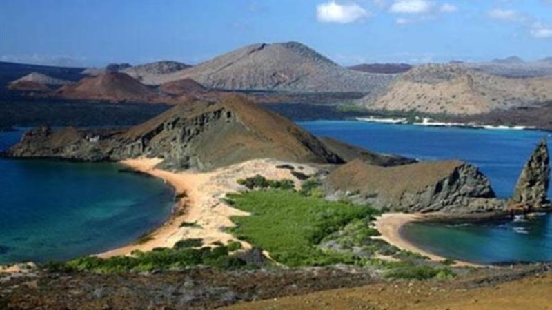 محمية العميد