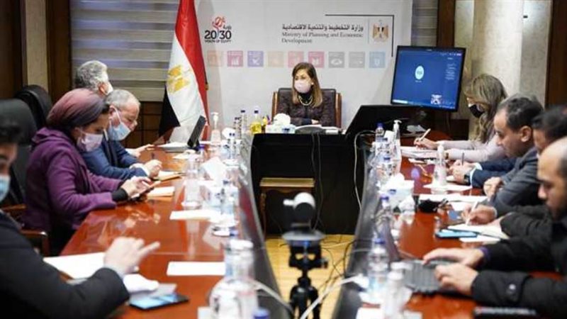 وزيرة التخطيط