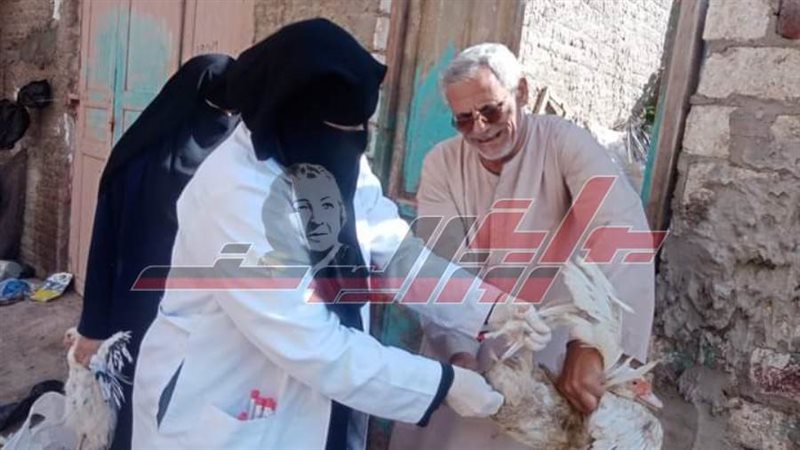 حملات التحصين