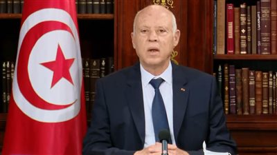 الرئيس التونسي يناقش عددا من الملفات مع رئيسة الحكومة في مقدمتها 