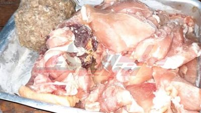 ضبط لحوم وكبدة وأسماك مجمدة غير صالحة بكفر الشيخ