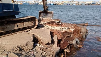 إزالة 39 حالة تعدٍ على الأراضي الزراعية والمجاري المائية بالبحيرة