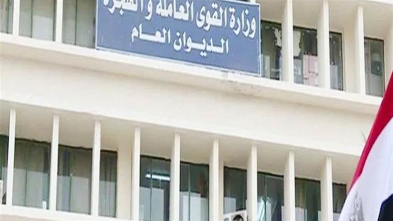 القوه العامله