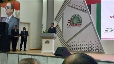 سفير إندونيسيا: فرصة ذهبية لتحقيق التكامل الاقتصادي بين القاهرة وچاكرتا