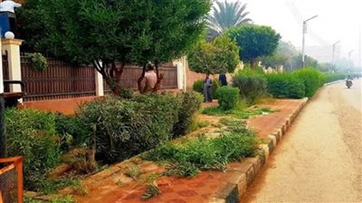 زراعة 2557 شجرة ضمن فعاليات مبادرة 