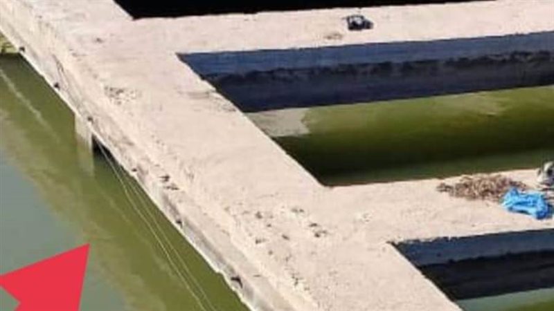 السلك العشوائي علي