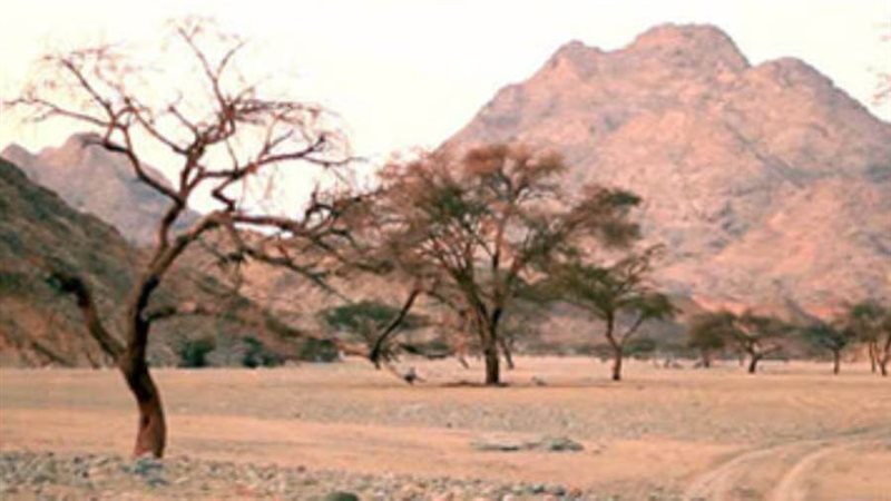 محمية الأحراش