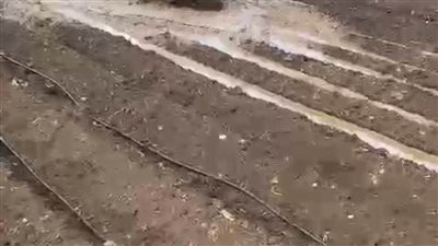 حدوث تسريب غاز أسفل أرض زراعية بالدقهلية