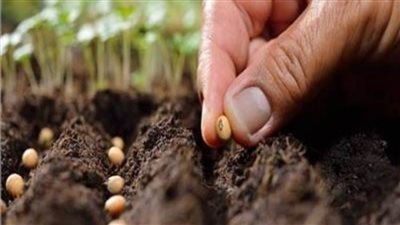 15 معلومة عن المشروع القومي للإنتاج الزراعي 