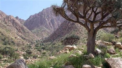  ثاني أكبر محمية في مصر تزخر بثروات بحرية هائلة وقبائل 