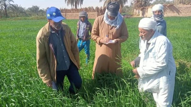 جلسات المدرسة الحقليه