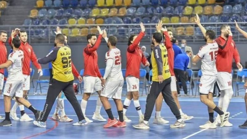 دوري محترفين اليد