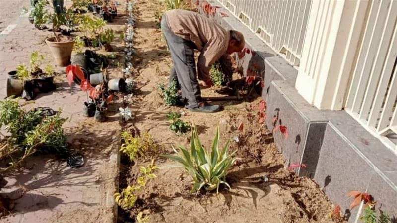 تجميل محيط المحكمة