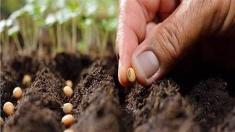 المشروع القومي للإنتاج