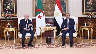 بعد زيارة الرئيس الجزائري.. تعرف على أبرز ملامح العلاقات السياسية بين مصر والجزائر