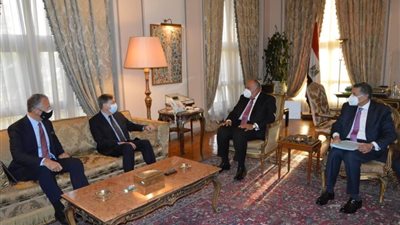 شكري يؤكد أهمية التعامل مع الأمن والاستقرار بـ