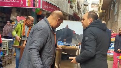 حملات مكبرة لإزالة الإشغالات بنطاق أحياء الإسكندرية