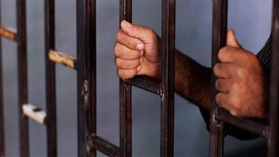 حبس صاحب محل لقيامه بالاتجار في الأسلحة النارية بطوخ