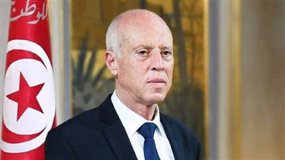 الرئيس التونسي يبحث مع رئيسة الحكومة الأوضاع الصحية والاقتصادية والاجتماعية بالبلاد