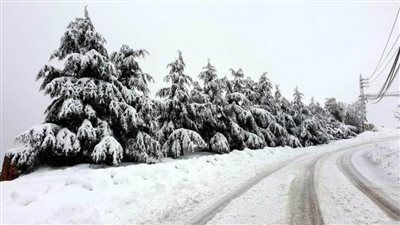 ما العاصفة ياسمين التي أشعلت مواقع التواصل؟ وهل تضرب مصر؟ 