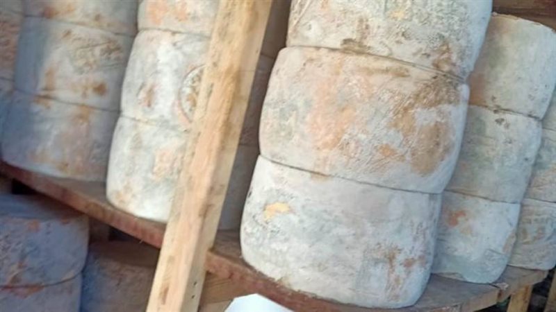 ضبط 9 طن جبنة رومي