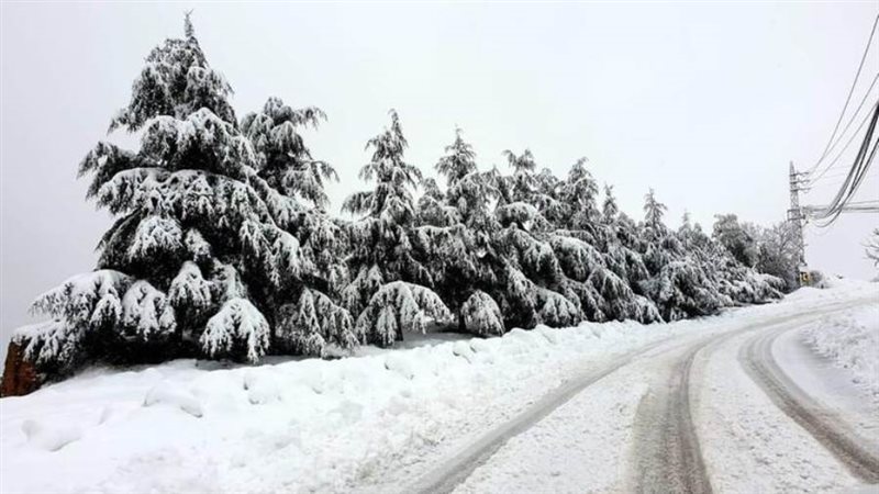 عاصفة ياسمين فى لبنان