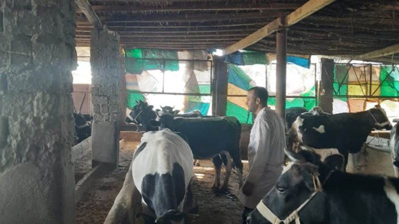 استمرار الحملة القومية