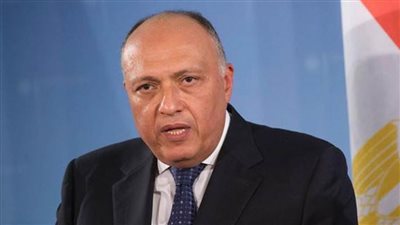 سامح شكري: الاجتماع التشاوري لوزراء الخارجية العرب جاء بثمار جيدة للعمل العربي