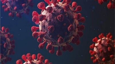 بالأرقام.. استمرار ارتفاع أعداد الإصابات والوفيات بسبب 