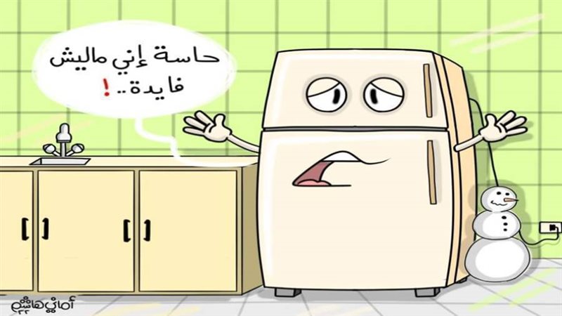 ريشة أماني هاشم