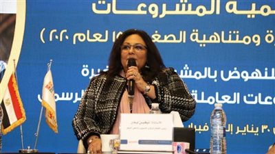  نيفين: قانون تنمية المشروعات يتيح الفرصة للمشروعات متناهية الصغر للنمو 