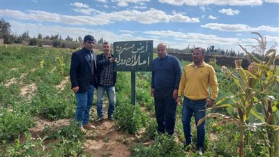 استرداد  ٢٧ فدان أملاك دولة فى حملة مكبرة بالبحيرة