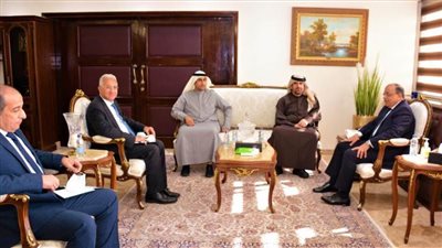 شعراوي يبحث التعاون مع مؤسسة محمد بن راشد للمعرفة في مجال محو الأمية