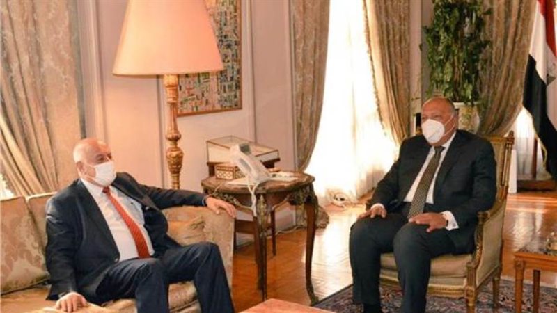 سامح شكري والفريق