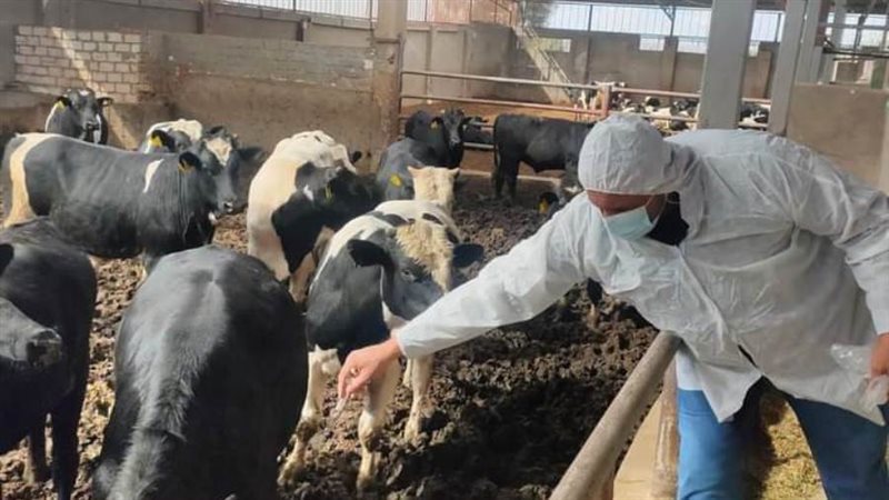 الحملة القومية لتحصين