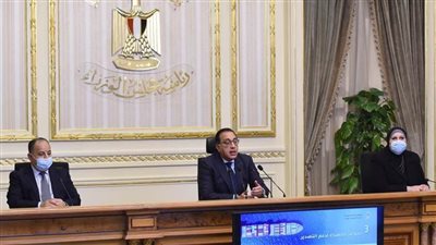 تعرف على تخفيضات الحكومة لرسوم تحليلي السفر للمصريين والأجانب