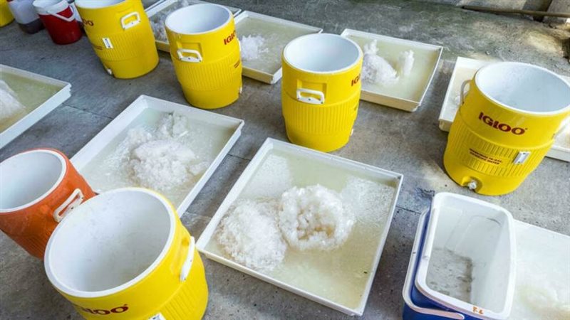 مخدرات صناعية تم